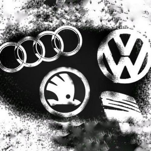FULL VAG ECU FlashData до 7.2023